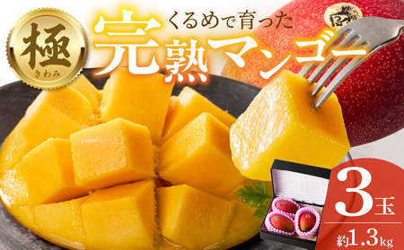 【2026年6月以降お届け】極　完熟マンゴー（3玉：約1.3kg）_完熟マンゴー 3玉 約 1.3kg 久留米産 平均糖度 17度～18度 完熟 マンゴー 国産 フルーツ トロピカルフルーツ 果物 デザート 冷蔵 クール便 お取り寄せ お取り寄せフルーツ 福岡県 久留米市 送料無料 〔Fm019〕