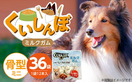 くいしんぼ ミルクガム 骨型（ミニ）12本×36袋_くいしんぼ ミルクガム 36袋 骨型 ミニ 12本 × 36袋 ミルク風味 デンタルガム ストレス解消 天然牛皮使用 ハードタイプ ガム 歯みがき効果 歯周病予防 あごの強化 犬 おやつ 福岡県 久留米市 送料無料_Pf050-01