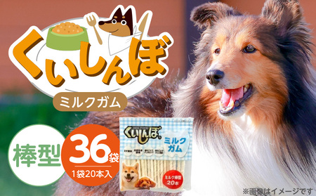 くいしんぼ ミルクガム 棒型 20本×36袋_くいしんぼ ミルクガム 36袋 棒型 20本 × 36袋 ミルク風味 デンタルガム ストレス解消 天然牛皮使用 ハードタイプ ガム 歯みがき効果 歯周病予防 あごの強化 犬 おやつ 福岡県 久留米市 送料無料_Pf050-03