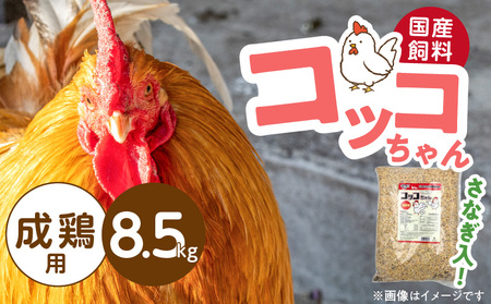 コッコちゃん 成鶏用 さなぎ入 8.5kg_コッコちゃん 成鶏用 飼料 さなぎ入 8.5kg 成鶏 健康維持 さなぎ 配合 産卵 サポート 卵 カルシウム 豊富 国産 原料 タンパク質 ビタミン ミネラル アミノ酸 自然 農作物 キンケイ チャボ 烏骨鶏 鶏 福岡県 久留米市 送料無料_Pf081