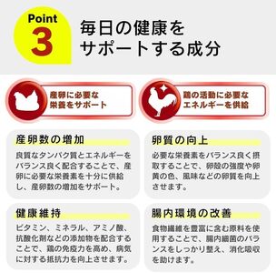 コッコちゃん 成鶏用 さなぎ入 8.5kg_コッコちゃん 成鶏用 飼料 さなぎ入 8.5kg 成鶏 健康維持 さなぎ 配合 産卵 サポート 卵 カルシウム 豊富 国産 原料 タンパク質 ビタミン ミネラル アミノ酸 自然 農作物 キンケイ チャボ 烏骨鶏 鶏 福岡県 久留米市 送料無料_Pf081