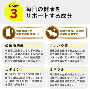 わが家のプチアイドル ひまわりの種 100%（400g×24袋）_ひまわりの種 100% 400g × 24袋 リス ハムスター モルモット ウサギ 小動物 殻付きタイプ カリカリ食感 香ばしい 風味 タンパク質 食物繊維 ビタミン ミネラル おやつ チャック付き 便利 福岡県 久留米市 送料無料_Pf083-01