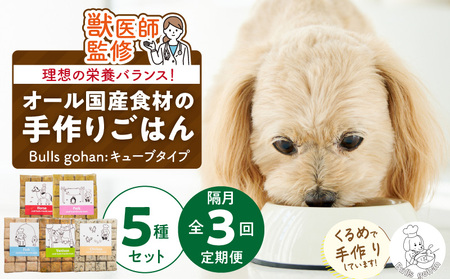 【定期便：隔月3回お届け！】ペットフード　無添加ドッグフード・ブルズごはんCUBEタイプ　300g×5袋（馬・豚・鹿・鶏・魚）_定期便 無添加 ドッグ フード 300g×5袋 隔月 計3回 馬肉 チーズ 豚肉 鹿肉 魚 野菜 鶏 ダシ 雑炊風 5種類 CUBEタイプ 国産 食材 手作り ごはん 混ぜるだけ 色んな味 ローテーション 成犬 シニア犬 愛犬 ペット 冷凍 お取り寄せ 福岡県 久留米市 送料無料 〔Tk040〕