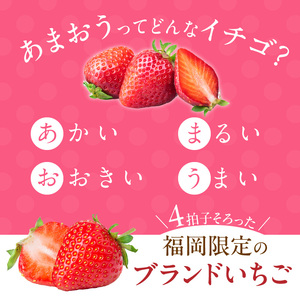 【訳あり】冷凍あまおう（いちご）2kg〔Fi217〕