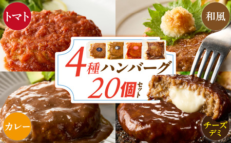 ハンバーグ食べ比べ20個セット_4種 20個 チーズデミ 和風 トマトソース カレーソース ハンバーグ 各5個 冷凍 温めるだけ 湯煎 レンジ 電子レンジ バラエティ 個包装 小分け 食べ比べ お弁当 簡単調理 お取り寄せ お取り寄せグルメ 福岡県 久留米市 送料無料_Ax405_RCF0600
