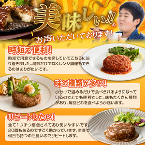 ハンバーグ食べ比べ20個セット_4種 20個 チーズデミ 和風 トマトソース カレーソース ハンバーグ 各5個 冷凍 温めるだけ 湯煎 レンジ 電子レンジ バラエティ 個包装 小分け 食べ比べ お弁当 簡単調理 お取り寄せ お取り寄せグルメ 福岡県 久留米市 送料無料_Ax405_RCF0600
