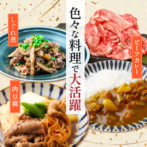 博多和牛切り落とし 500g×2パック_博多和牛 切り落とし 500g × 2パック 計 1kg 自慢 黒毛和牛 国産 九州産 福岡県産 国産牛 ブランド牛 牛肉 和牛 肉 お肉 赤身 溢れる 旨味 サシ 甘味 至福の時 煮物 すき焼き 炒め物 カレー 小分け 便利 冷凍 お取り寄せ グルメ 福岡県 久留米市 送料無料_Ab040