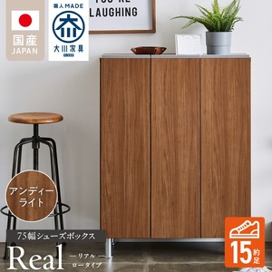 シューズボックス 【リアル 75 LO】 アンディーライト_シューズボックス リアル 75 LO 大川家具 アンディーライト 靴箱 靴 収納 可動棚 お洒落 国内製造 お取り寄せ 福岡県 久留米市 送料無料 〔Qd062-04〕