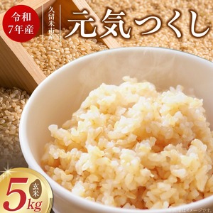 【令和7年産 新米】福岡県産ブランド米元気つくし 玄米 5kg_元気つくし 玄米 内容量 5kg 福岡県産 ブランド米 鮮度抜群 新鮮 福岡生まれ 品種 香り豊か ふっくら 食感 ご飯 おにぎり 弁当 お米 食品 お取り寄せ 九州 久留米産 福岡県 久留米市 送料無料 〔Gr067〕