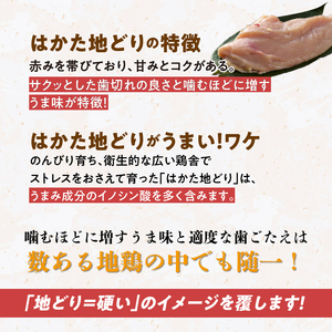 はかた地どり 手羽元カレーギフト_はかた地どり 手羽元 カレー ギフト レトルト 210g × 5袋 地鶏 旨味 完熟 トマト ガラスープ 煮込む レンチン可 湯煎可能 電子レンジ可能 簡単調理 時短 備蓄 保存食 食品 加工食品 お取り寄せ 福岡県 久留米市 送料無料_Ax104