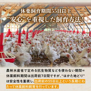 はかた地どり 手羽元カレーギフト_はかた地どり 手羽元 カレー ギフト レトルト 210g × 5袋 地鶏 旨味 完熟 トマト ガラスープ 煮込む レンチン可 湯煎可能 電子レンジ可能 簡単調理 時短 備蓄 保存食 食品 加工食品 お取り寄せ 福岡県 久留米市 送料無料_Ax104