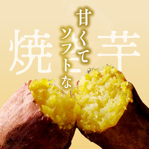 焼芋いもっ子(冷凍)4.2kg【九州産・無添加】（タケヤ）_Ca202