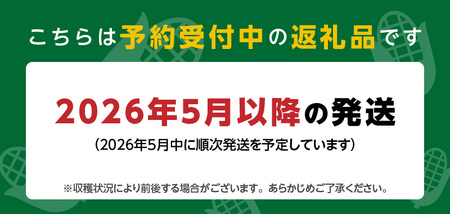 【2026年5月お届け】福岡県産 朝採れヤングコーン 50本 〔Gv052〕