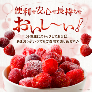 福岡県産あまおう（冷凍2.5kg）いちご　苺　特別栽培【数量限定】_Fi203