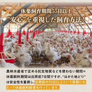 はかた地どり一口チキンカツ_はかた地どり 一口 チキンカツ 1.8kg 地鶏 チキン カツ 鶏肉 国産 おかず 冷凍 冷凍食品 お弁当 サクサク 揚げるだけ 簡単調理 お手軽 おつまみ 肉 九州産 惣菜 揚げ物 フライ カツサンド  農事組合法人福栄組合 福岡県 久留米市 お取り寄せ グルメ 送料無料_Ax105