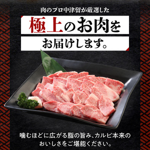 博多和牛 カルビ焼肉400g_博多和牛 カルビ焼肉 400g 和牛 牛肉 肉 やわらかい ジューシー カルビ 焼き肉 カルビ丼 チンジャオロース アレンジ レシピ 晩ごはん おかず お弁当 新鮮 切りたて 冷凍 コク 脂 旨み お取り寄せ グルメ お取り寄せグルメ 九州産 福岡県 久留米市 送料無料_Ab008