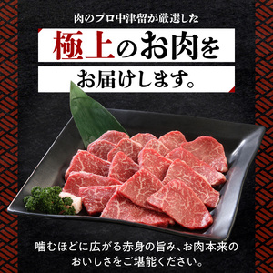 博多和牛 赤身焼肉400g_博多和牛 赤身焼肉 400g 肉 牛肉 国産 モモ カタ 赤身 あっさり お肉 焼肉用 肉肉しい 焼肉 野菜炒め バーベキュー アウトドア キャンプ 新鮮 切りたて 冷凍 お取り寄せ お取り寄せグルメ 福岡県 久留米市 送料無料_Ab009