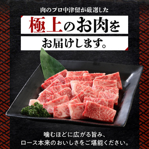 博多和牛 ロース焼肉550g_博多和牛 ロース焼肉550g_Ab012