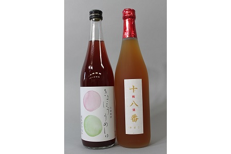 E301 梅酒2本セット