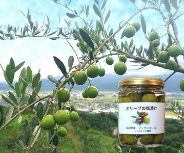 国産 オリーブ塩漬け １１５ｇ ２個 福岡県産 手摘み 手づくり 送料無料 わけあり 福岡県久留米市 ふるさと納税サイト ふるなび