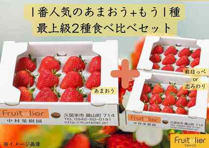 【フルトリエ】特選あまおう+おまかせ1種 計2種のいちご食べ比べギフト_いちご 特選 あまおう 約380g おまかせ 1種 約400g 計2種 食べ比べ 詰合せ ギフト フルトリエ 中村果樹園 発送当日の朝に収穫 新鮮 贈り物 フルーツ 果物 お取り寄せ 冷蔵 ストロベリー パフェ ショートケーキ パンケーキ ジャム 福岡県 久留米市 送料無料_Fi032