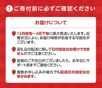 【フルトリエ】特選あまおう+おまかせ1種 計2種のいちご食べ比べギフト_いちご 特選 あまおう 約380g おまかせ 1種 約400g 計2種 食べ比べ 詰合せ ギフト フルトリエ 中村果樹園 発送当日の朝に収穫 新鮮 贈り物 フルーツ 果物 お取り寄せ 冷蔵 ストロベリー パフェ ショートケーキ パンケーキ ジャム 福岡県 久留米市 送料無料_Fi032