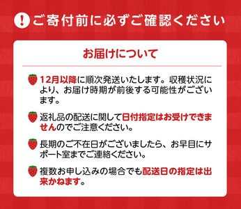 特別栽培 旬のいちご詰め合わせ （ふくおかエコ農産物） 約500g