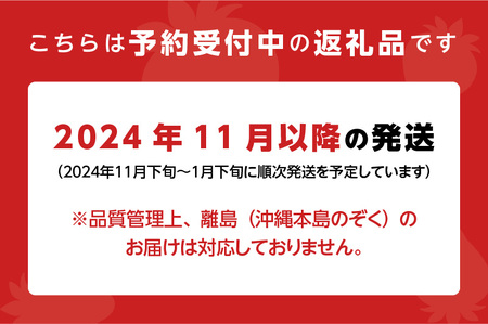 冬くるめあまおう2パック_冬くるめ あまおう 250g × 2パック 合計 500g 冷蔵 濃厚 甘い 大粒 果汁 アフター保証 安心安全 国産 いちご 果物 アレンジ おやつ フルーツ スイーツ スムージー ジャム 南国フルーツ お取り寄せ 福岡県 久留米市 送料無料 福岡限定_Fi010