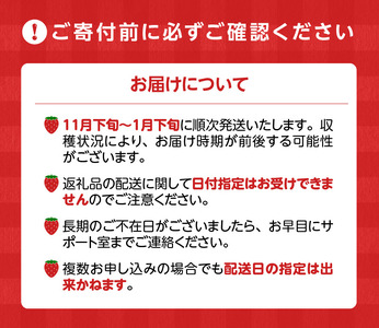 冬くるめあまおう2パック_冬くるめ あまおう 250g × 2パック 合計 500g 冷蔵 濃厚 甘い 大粒 果汁 アフター保証 安心安全 国産 いちご 果物 アレンジ おやつ フルーツ スイーツ スムージー ジャム 南国フルーツ お取り寄せ 福岡県 久留米市 送料無料 福岡限定_Fi010