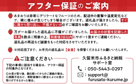 冬くるめあまおう2パック_冬くるめ あまおう 250g × 2パック 合計 500g 冷蔵 濃厚 甘い 大粒 果汁 アフター保証 安心安全 国産 いちご 果物 アレンジ おやつ フルーツ スイーツ スムージー ジャム 南国フルーツ お取り寄せ 福岡県 久留米市 送料無料 福岡限定_Fi010