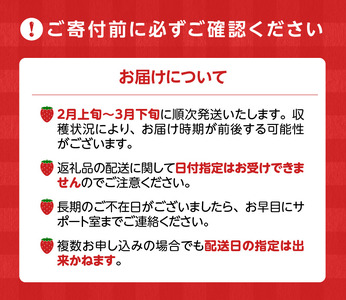 春くるめあまおう4パック_春くるめ あまおう 250g × 4パック 合計 1kg シール付き 冷蔵 濃厚 甘い 果汁 アフター保証 安心安全 国産 いちご 果物 アレンジ おやつ フルーツ スイーツ スムージー ジャム 南国フルーツ お取り寄せ 福岡県 久留米市 送料無料_Fi012