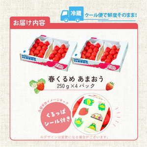 福岡産【春】あまおう4パック_春くるめ あまおう 250g × 4パック 合計 1kg シール付き 冷蔵 濃厚 甘い 果汁 アフター保証 安心安全 国産 いちご 果物 アレンジ おやつ フルーツ スイーツ スムージー ジャム 南国フルーツ お取り寄せ 福岡県 久留米市 送料無料_Fi012