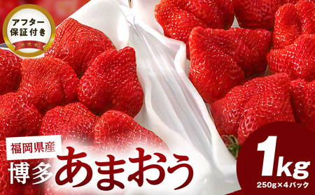 【先行予約】福岡県産 博多あまおう 1kg（250g×4パック）_【先行予約】 福岡県産 博多あまおう 1kg 250g × 4パック いちご あまおう ジャム おやつ パフェ 旬 いちごの王様 大粒 国産 シャーベット フルーツ デザート 果物  高品質 お取り寄せ 福岡県 久留米市 送料無料_Fi033