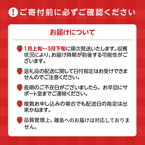 【先行予約】福岡県産 博多あまおう 1kg（250g×4パック）_【先行予約】 福岡県産 博多あまおう 1kg 250g × 4パック いちご あまおう ジャム おやつ パフェ 旬 いちごの王様 大粒 国産 シャーベット フルーツ デザート 果物  高品質 お取り寄せ 福岡県 久留米市 送料無料_Fi033