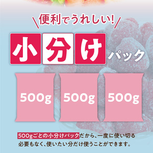 福岡県産 冷凍あまおう 摘みたて 1,500g(500g×3パック)_福岡県産 冷凍 あまおう 摘みたて 1,500g 500g × 3パック デザート 果物 いちご いちごの王様 冷凍いちご 食べ方いろいろ ヨーグルト アイス ジャム シャーベット スムージー ケーキ ドリンク お取り寄せ お取り寄せスイーツ 福岡県 久留米市 送料無料_Fi036