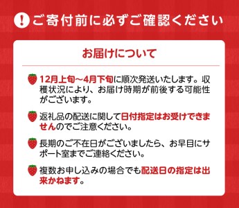 旬ないちごとおまかせ野菜詰合せ7品目セット_Gv021