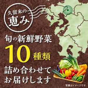 福岡県久留米市産　新鮮野菜セット