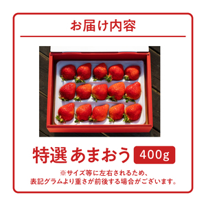 特選あまおう 400g_数量限定 いちご エクセレント 厳選 あまおう 400g 特別栽培 EX 認定農家 大きい うるう農園 福岡県 久留米市 採れたて 農家直送 フルーツ 果物 冷蔵 贈答用 一粒 丁寧な梱包 贈り物 お歳暮 お取り寄せ 送料無料_Fi006-V1