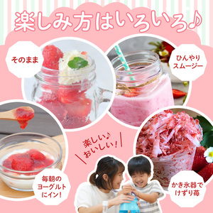 【2026年2月以降お届け】うるう農園の冷凍あまおう2kg_あまおう 2kg 冷凍 甘い 濃厚 新鮮 いちごの王様 うるう農園 いちご 果物 アレンジ おやつ フルーツ スイーツ スムージー ジャム アイス けずり苺 お取り寄せ お取り寄せグルメ 福岡県 久留米市 送料無料_Fi204