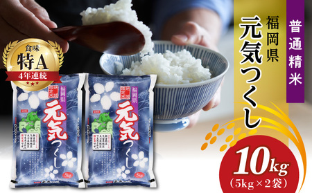 令和7年産　普通精米　福岡県産元気つくし 10kg_Gr031