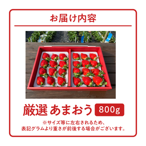 厳選あまおう 800g_福岡の最高級 あまおう 厳選 800g 採れたて いちご 最高等級 エクセレント 最高級 グレード 大きい 赤い 艶 畑の宝石 特別栽培 食べごろイチゴ 福岡県 久留米市 フルーツ 贈答用 ギフト 農家から直送 取り寄せ 送料無料_Fi005-V2