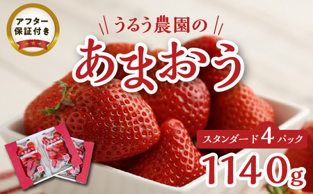 うるう農園のあまおうスタンダード 4パック（1140g）_いちご あまおう 4パック 1140g DX等級 スタンダード 減農薬 有機質肥料 特別栽培 認定農家 安心 安全 うるう農園 採れたて 農家直送 フルーツ 果物 冷蔵 スイーツ スムージー いちごジャム お取り寄せ お取り寄せグルメ 福岡県 久留米市 送料無料_Fi008-V2