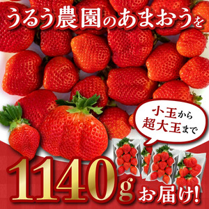 【ふるなび限定】うるう農園のあまおうサイズ色々 4パック（1140g）_サイズ色々 特別栽培認証 あまおう 苺 4パック 計 1140g うるう農園 安心 安全 Mサイズ 特大 グランデサイズ 福岡限定 ブランド苺 フルーツ 果物 ジャム ムース スイーツ 採れたて 農家直送 クール便 国産 お取り寄せ 福岡県 久留米市 送料無料　FN-Limited ふるなび限定_Fi009-V2