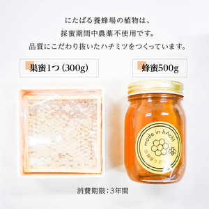 蜂蜜500gと巣蜜1つのセット_ハチミツ 巣蜜 セット 国産 計 800g 巣まるごと 送料無料_Ca026