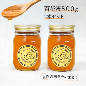 百花蜜500g 2本セット_ハチミツ セット 国産 百花蜜 500g 2本 送料無料_Ca027