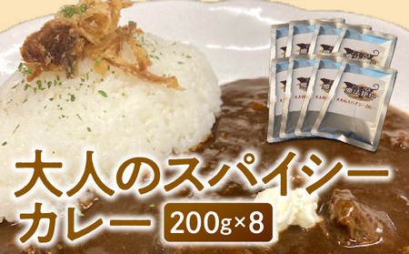 大人のスパイシーカレー200g×8_大人のスパイシーカレー200g×8_Ca021