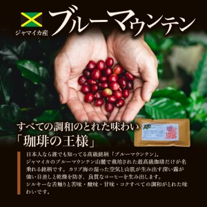 ブルーマウンテン100g＆ハワイコナコーヒー100g 豆コース_Ec011-B