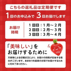 【定期便 3回】あまおう 約270g 4パック×3回 計12パック_定期便 全3回 いちご あまおう 約 270g × 4パック × 3回 計 12パック 福岡県産 福岡限定 甘い 濃厚 ブランド苺 果物 フルーツ ストロべリー スイーツ パフェ ショートケーキ パンケーキ スムージー ジャム 国産 福岡県 久留米市 お取り寄せ 送料無料_Fi301