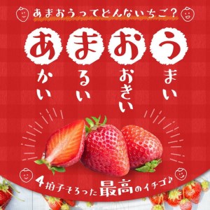 【定期便 3回】あまおう 約270g 4パック×3回 計12パック_定期便 全3回 いちご あまおう 約 270g × 4パック × 3回 計 12パック 福岡県産 福岡限定 甘い 濃厚 ブランド苺 果物 フルーツ ストロべリー スイーツ パフェ ショートケーキ パンケーキ スムージー ジャム 国産 福岡県 久留米市 お取り寄せ 送料無料_Fi301