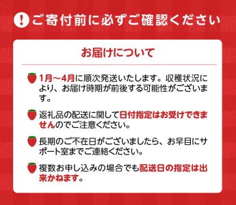 【定期便 3回】あまおう 約270g 4パック×3回 計12パック_定期便 全3回 いちご あまおう 約 270g × 4パック × 3回 計 12パック 福岡県産 福岡限定 甘い 濃厚 ブランド苺 果物 フルーツ ストロべリー スイーツ パフェ ショートケーキ パンケーキ スムージー ジャム 国産 福岡県 久留米市 お取り寄せ 送料無料_Fi301